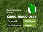 Stemgrass