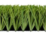 Stemgrass