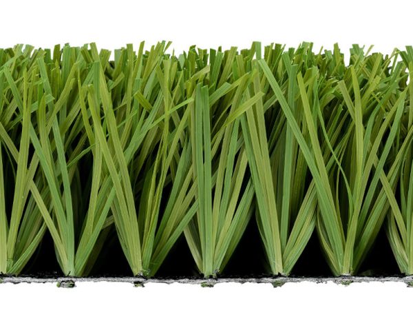 Stemgrass