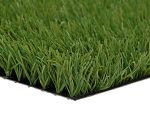 Stemgrass