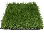 Stemgrass