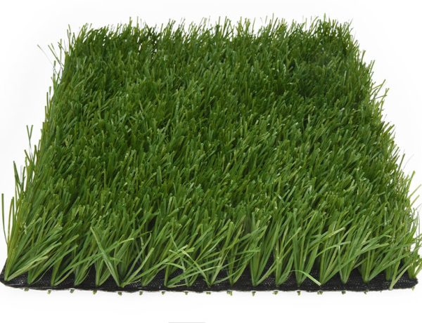 Stemgrass