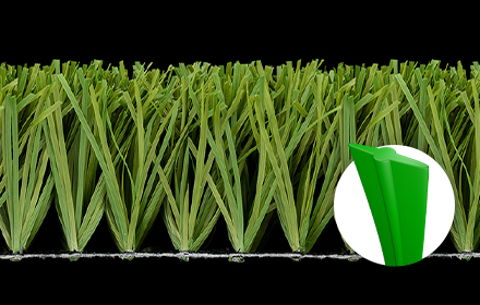 Stemgrass