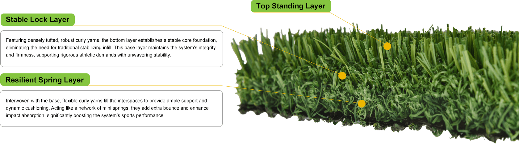 Discover Leap Turf System