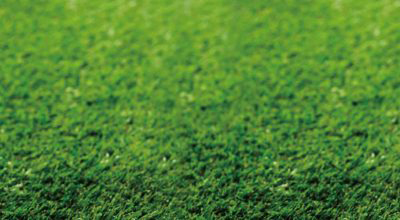 Rugby Turf