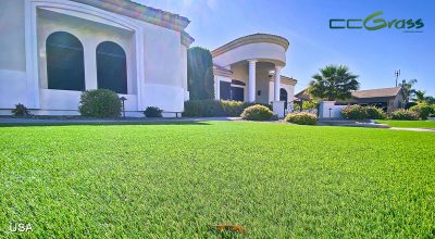 25+ Best Artificial Grass Ideas for Indoors and Outdoors