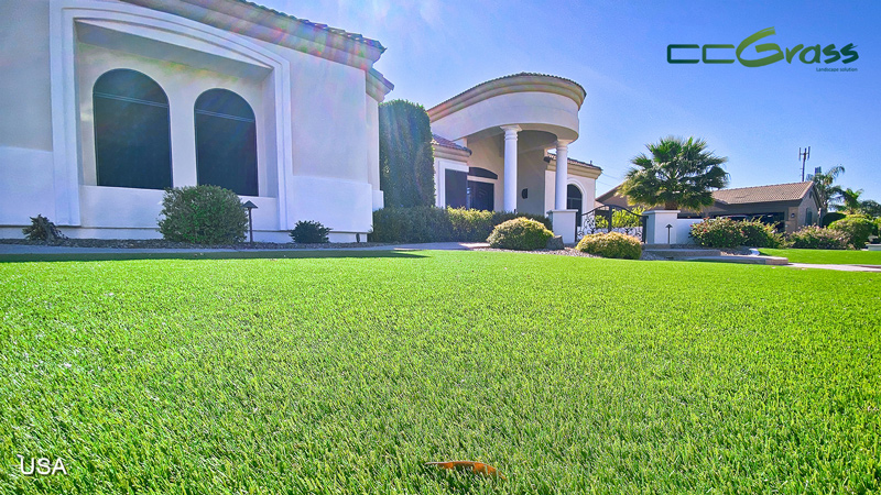 Front Yard Makeover with Artificial Grass