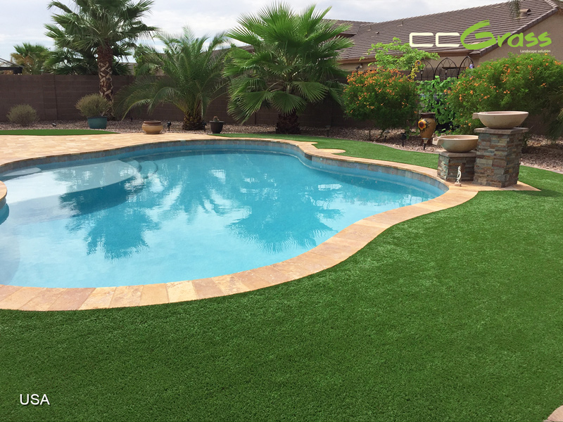 Lush Backyard Poolside Design