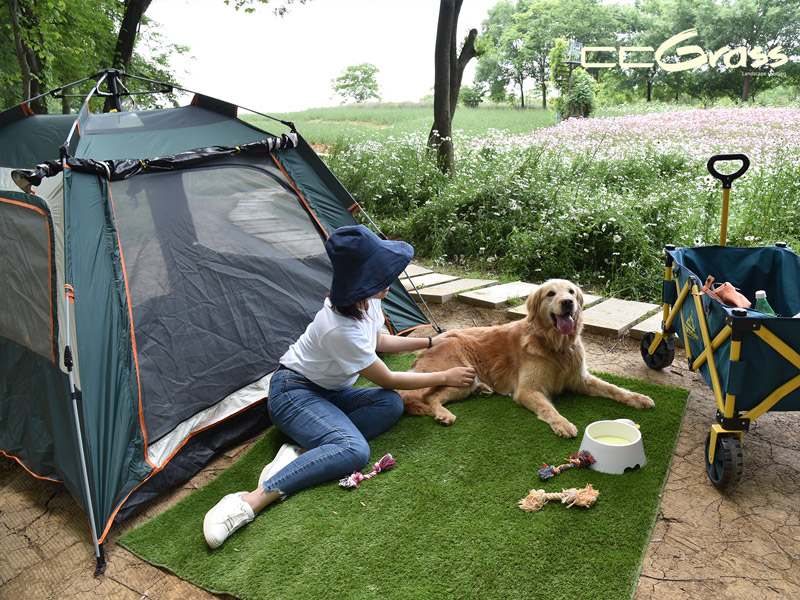 Picnic Mat for Outdoor Adventures