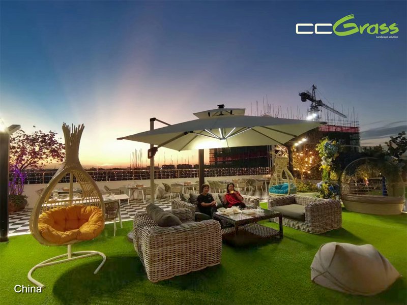 Rooftop Dining with a View
