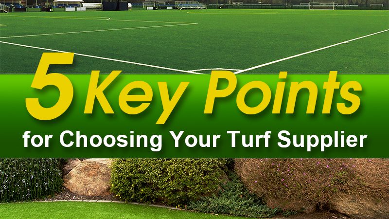 How to Choose the Best Artificial Grass Company