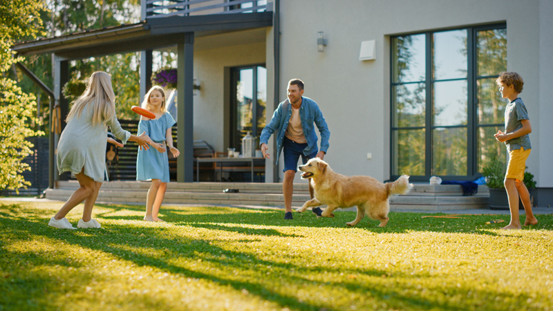 Durable artificial grass for pets and families