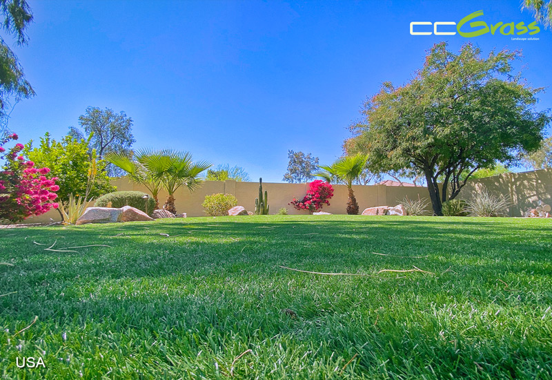 CCGrass, artificial turf backyard garden