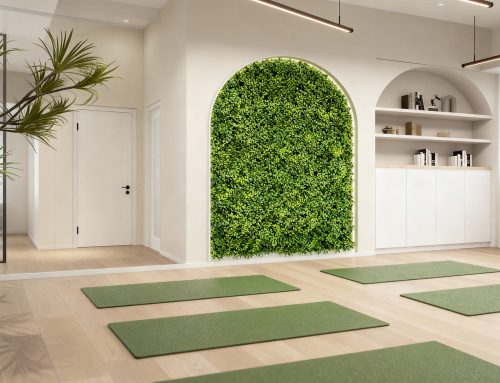 Gyms & Fitness Centers