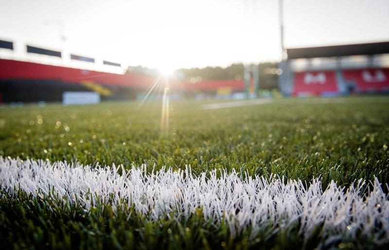 Close-up of Inlaid White Fibers
