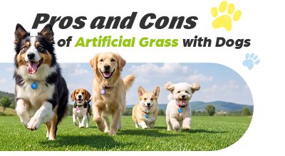 Pros and Cons of Artificial Grass with Dogs