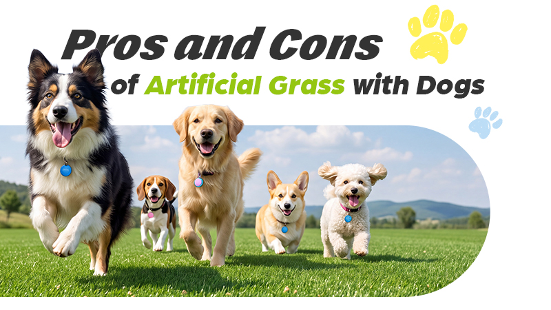 Pros and Cons of Artificial Grass with Dogs Pros and Cons of Artificial Grass with Dogs