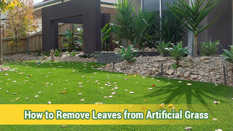 Artificial grass lawn with fallen leaves in fall for seasonal maintenance